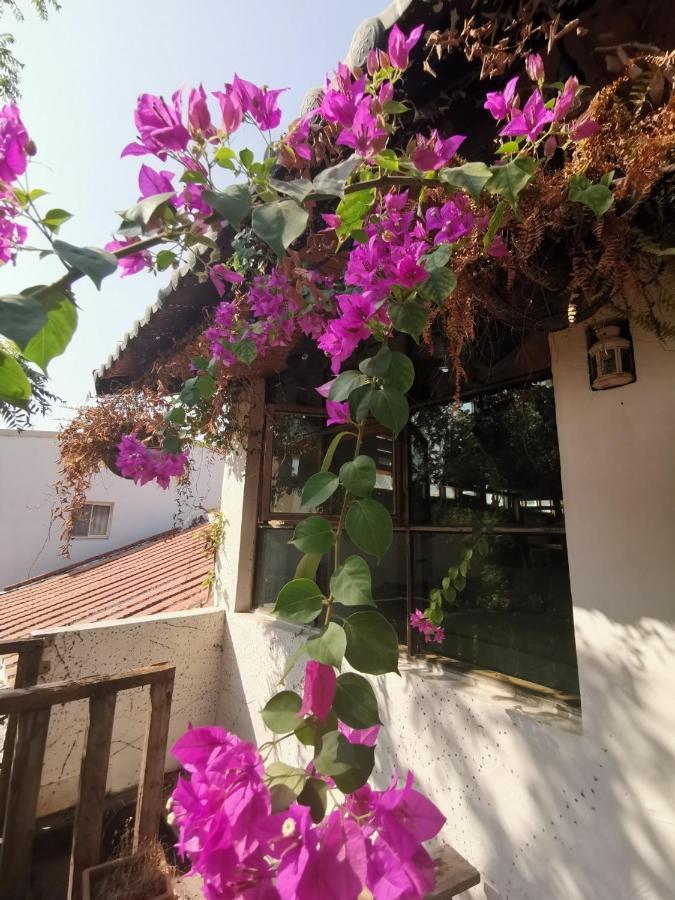 Dear B&B Tainan Bagian luar foto